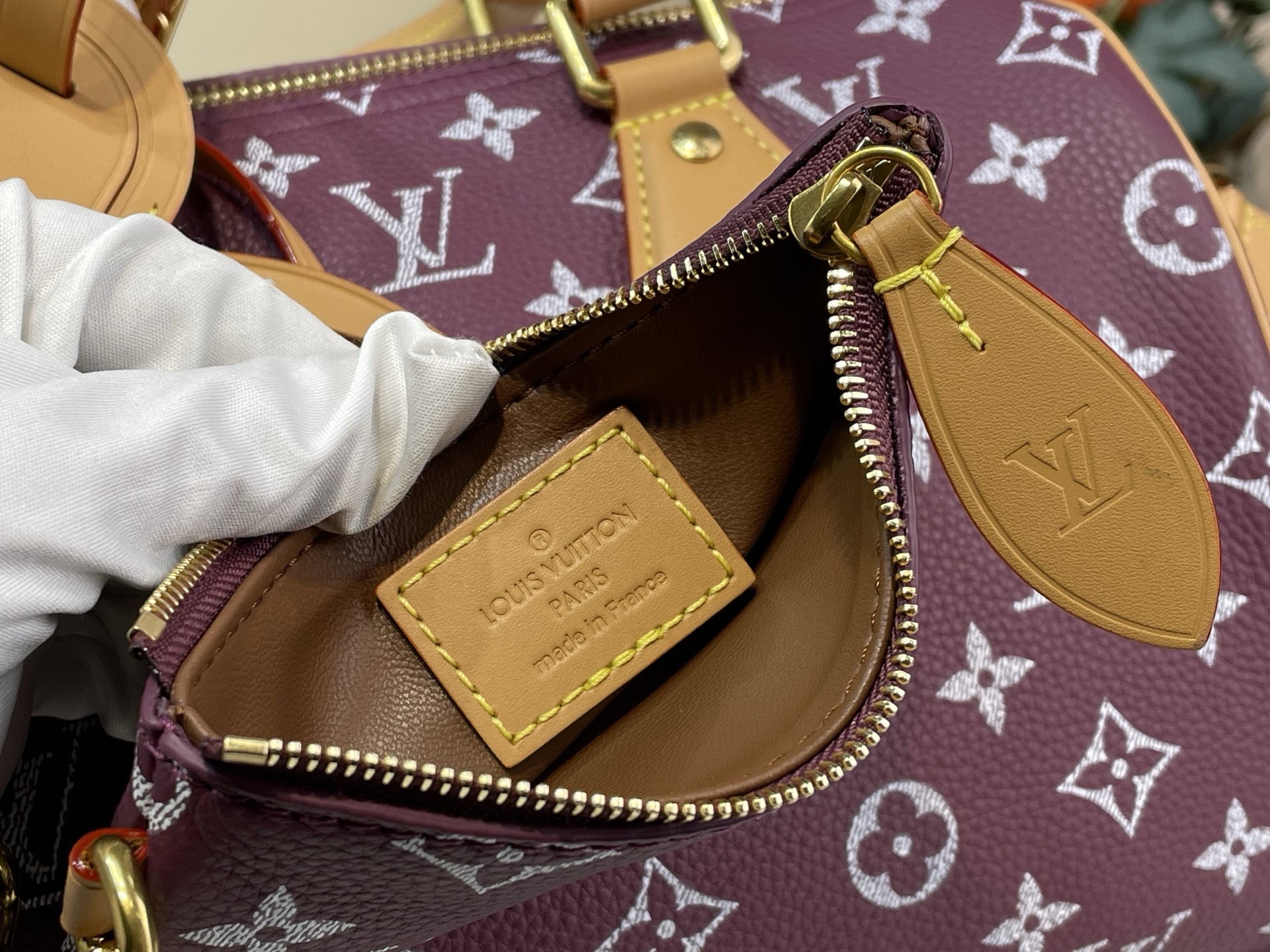 Louis Vuitton Basic Bag Cow Leather M-l-s