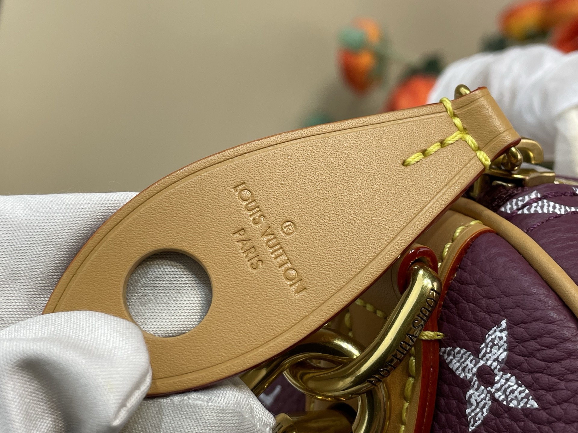 Louis Vuitton Basic Bag Cow Leather M-l-s