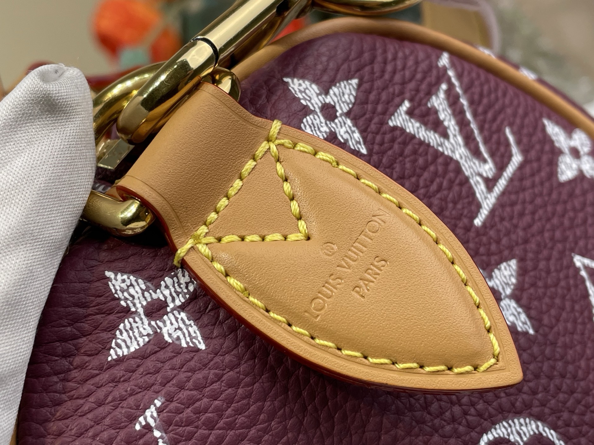 Louis Vuitton Basic Bag Cow Leather M-l-s