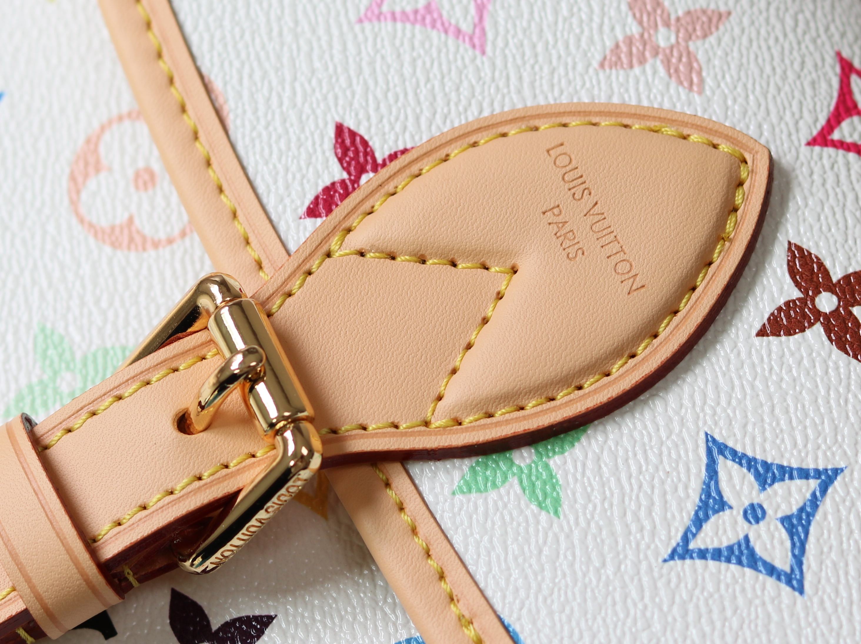 Louis Vuitton Basic Bag Canvas M