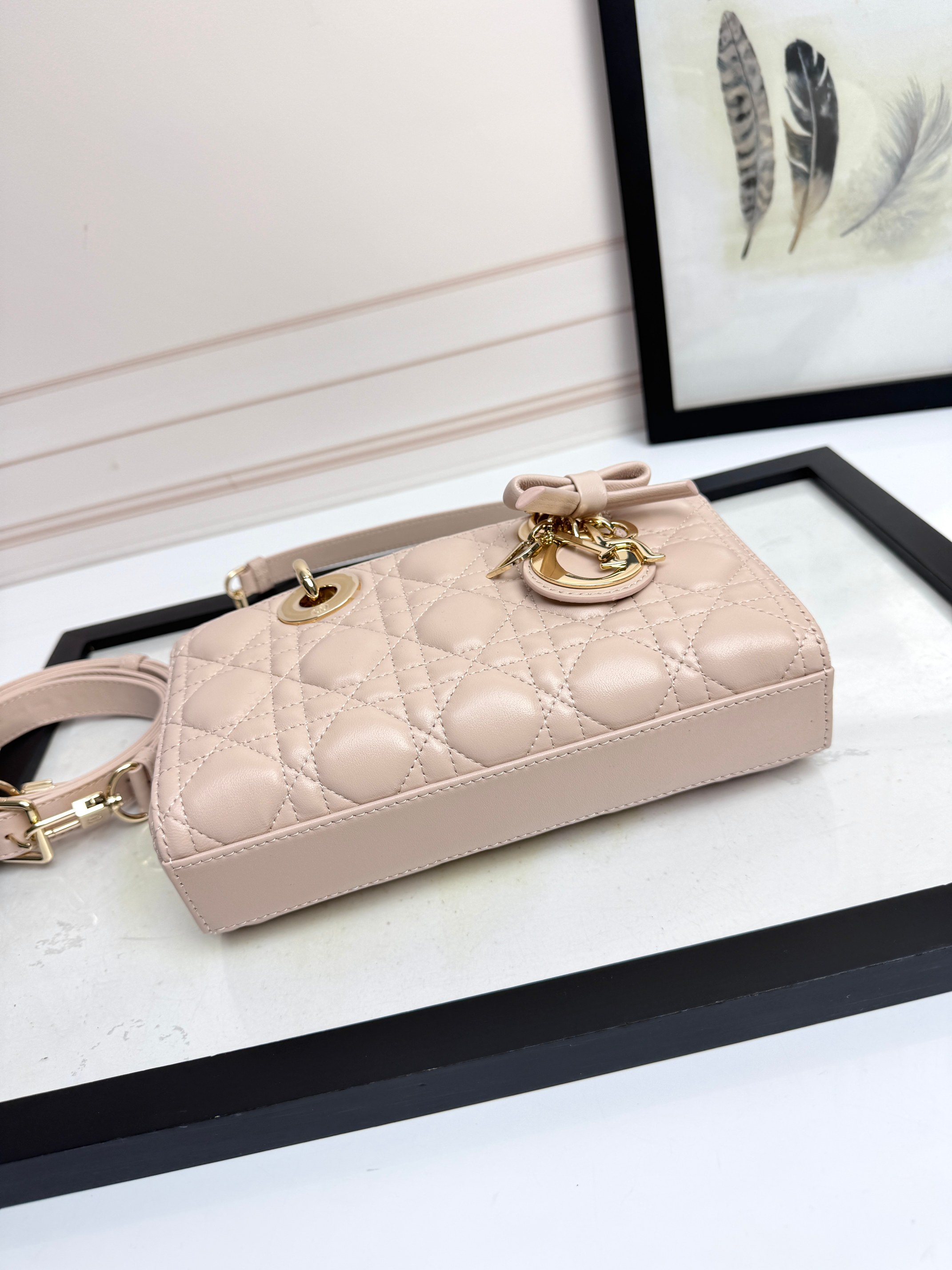 Dior Female Basic Bag Sheepskin Pink M-l