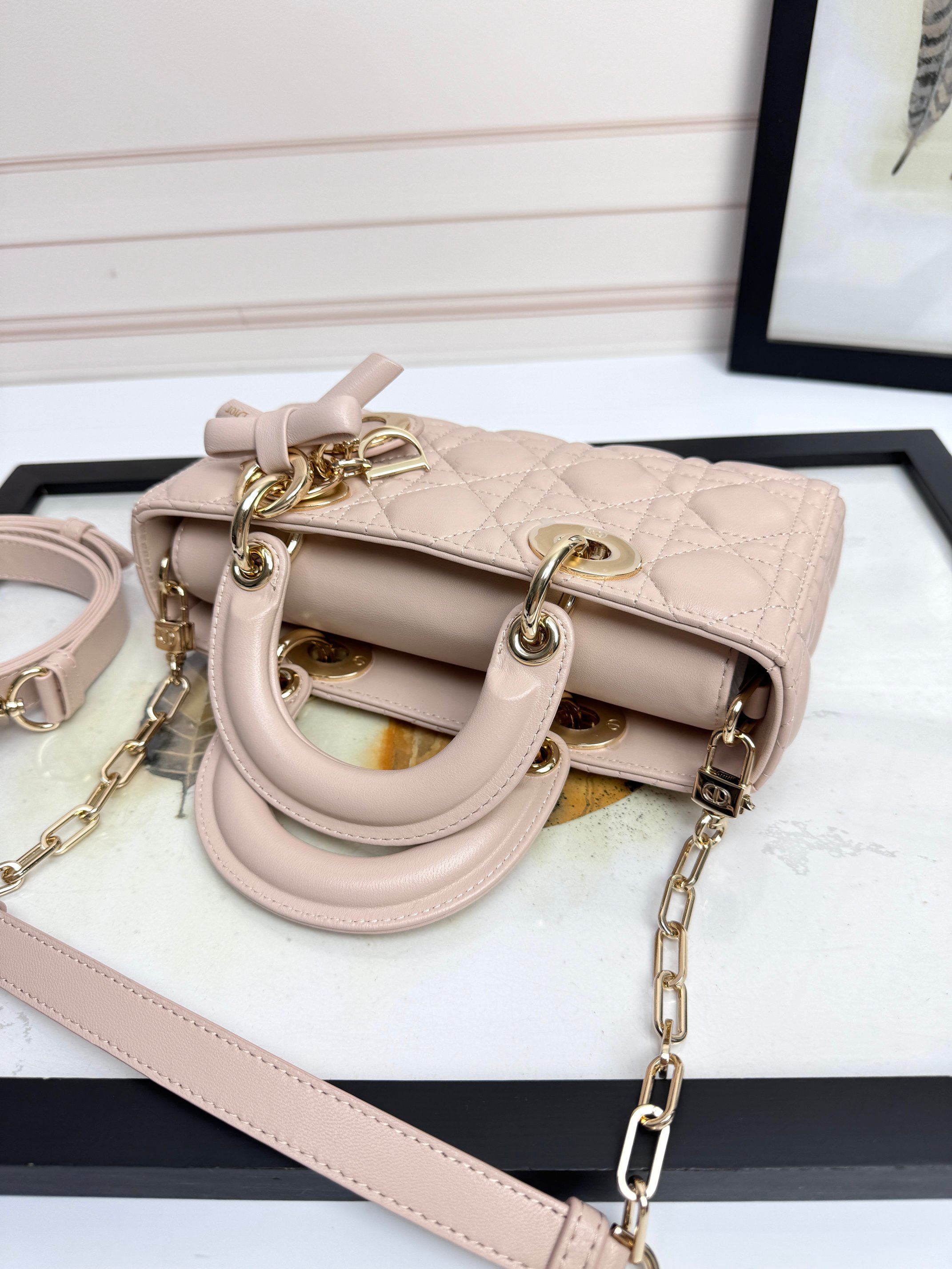 Dior Female Basic Bag Sheepskin Pink M-l