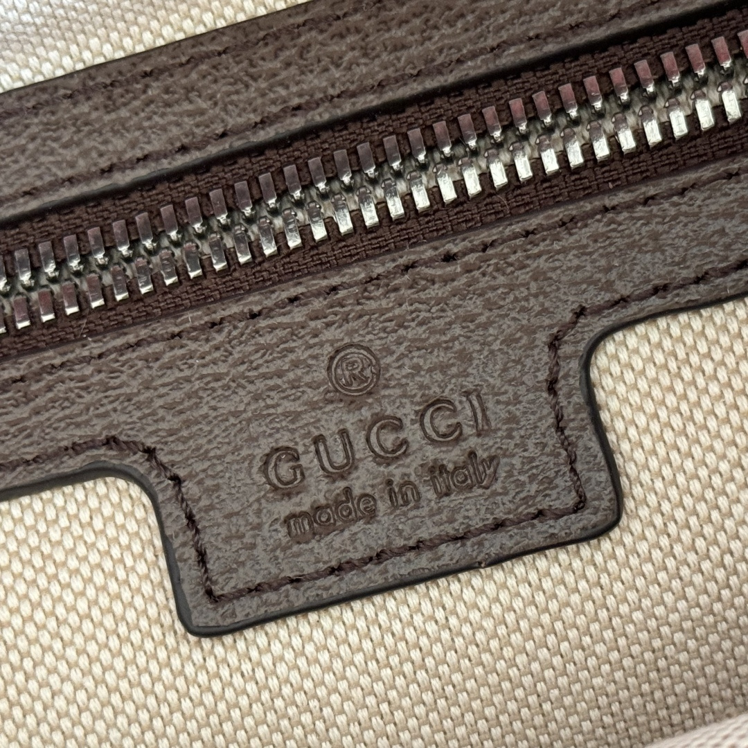 Gucci Backpack Canvas Brown