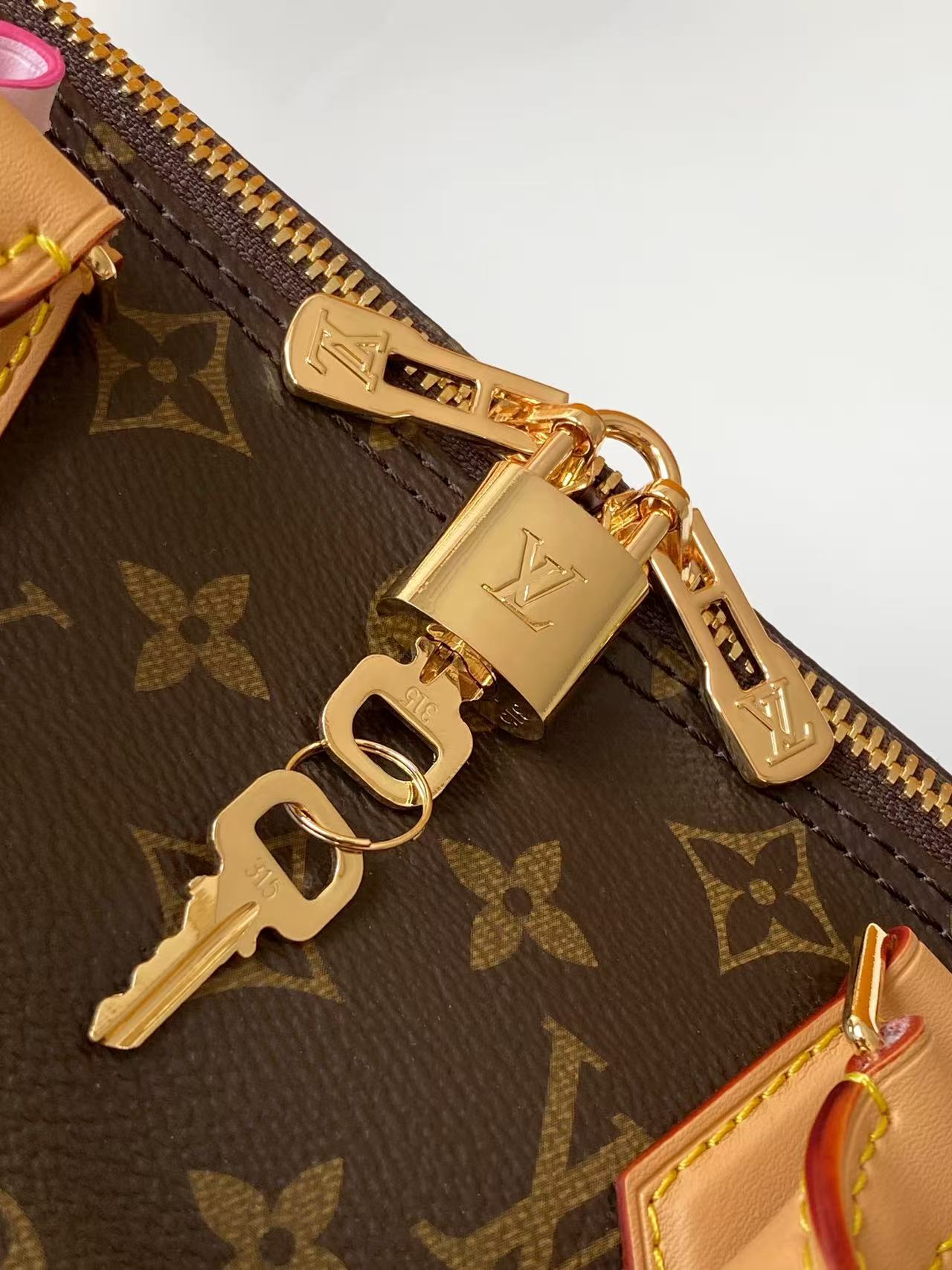 Louis Vuitton Basic Bag Canvas Black M-s