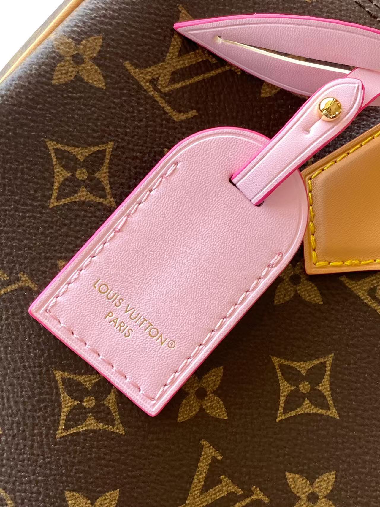 Louis Vuitton Basic Bag Canvas Black M-s