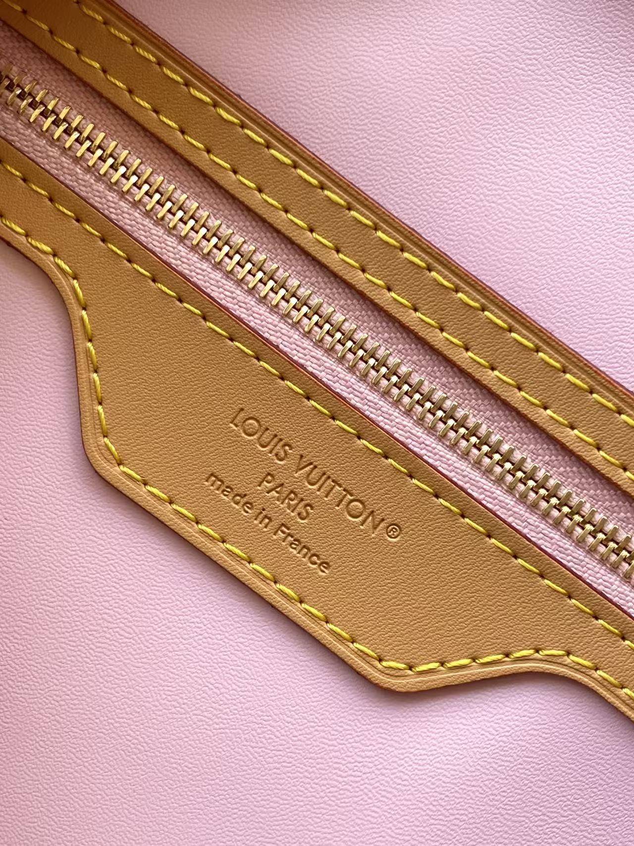 Louis Vuitton Basic Bag Canvas Black M-s