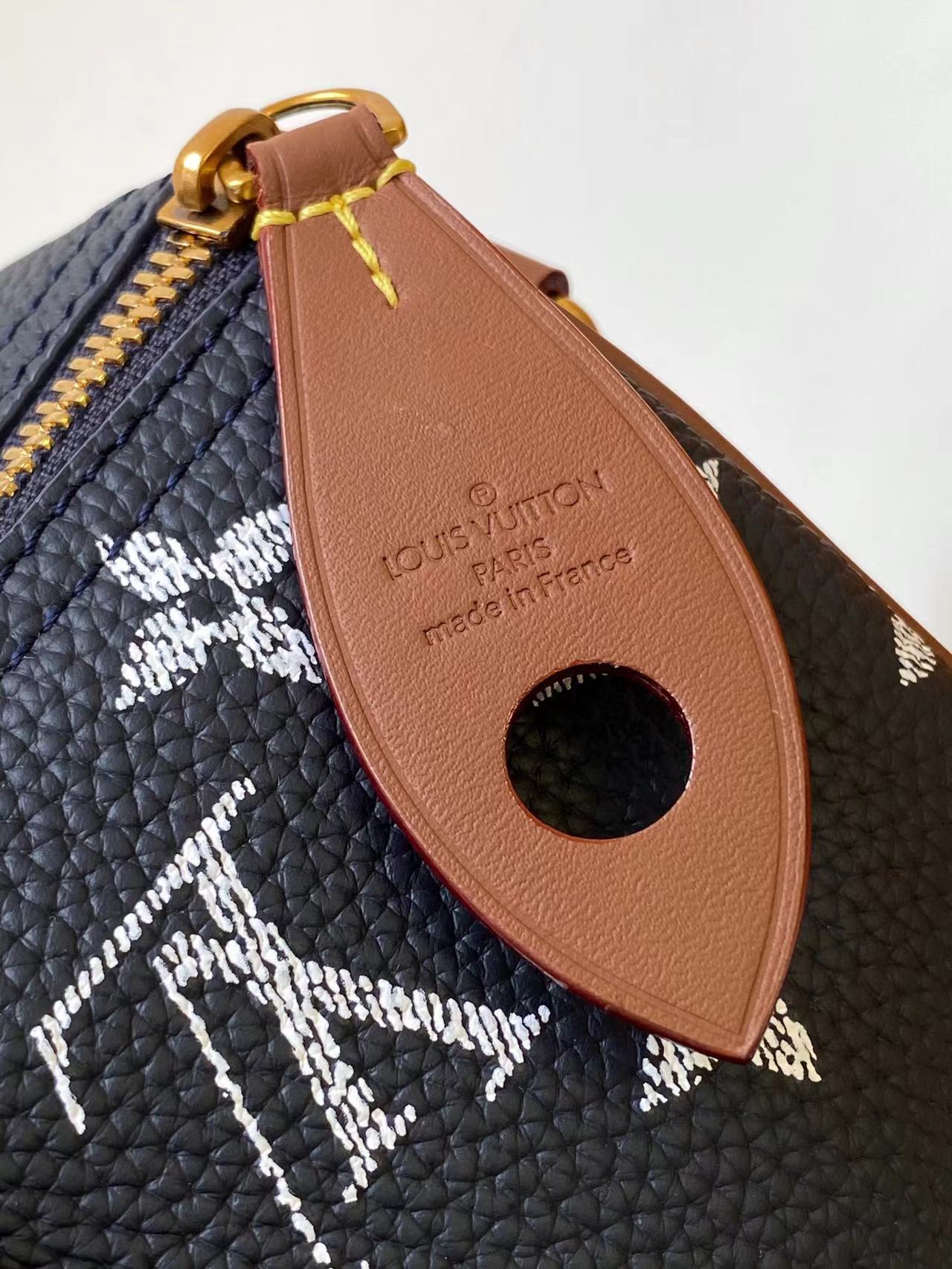 Louis Vuitton Basic Bag Cow Leather Black M-l-s