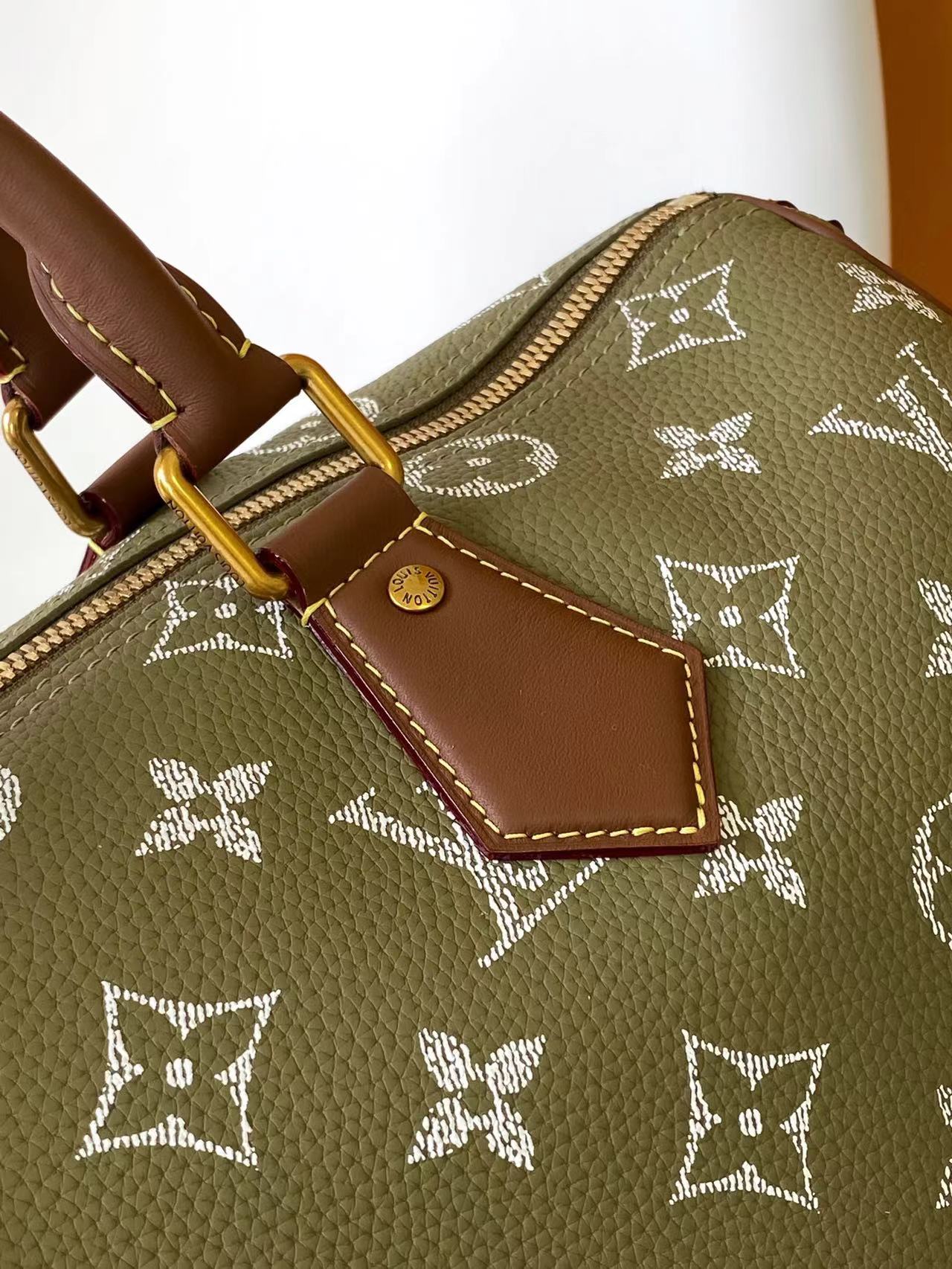 Louis Vuitton Basic Bag Cow Leather Black M-l-s