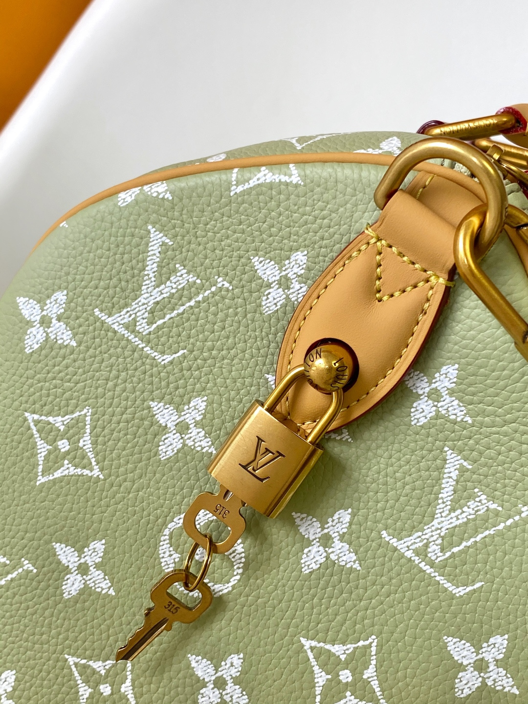 Louis Vuitton Basic Bag Cow Leather Black M-l-s