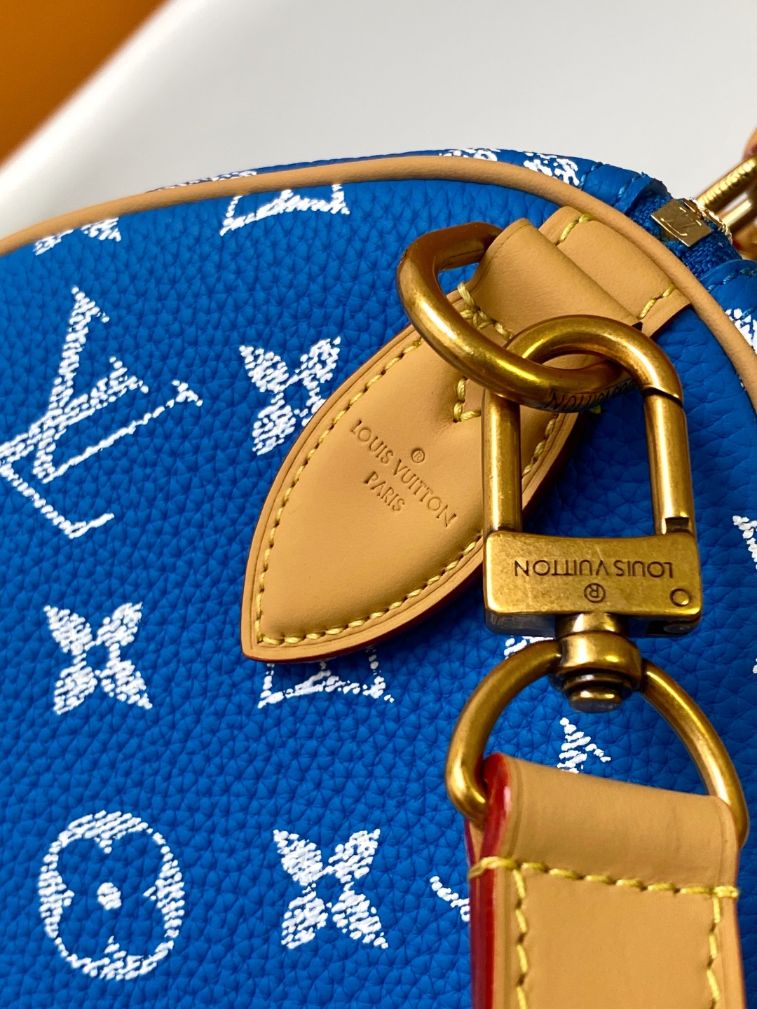 Louis Vuitton Basic Bag Cow Leather Black M-l-s