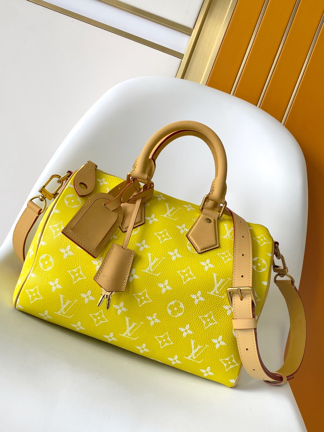 Louis Vuitton Basic Bag Cow Leather Black M-l-s