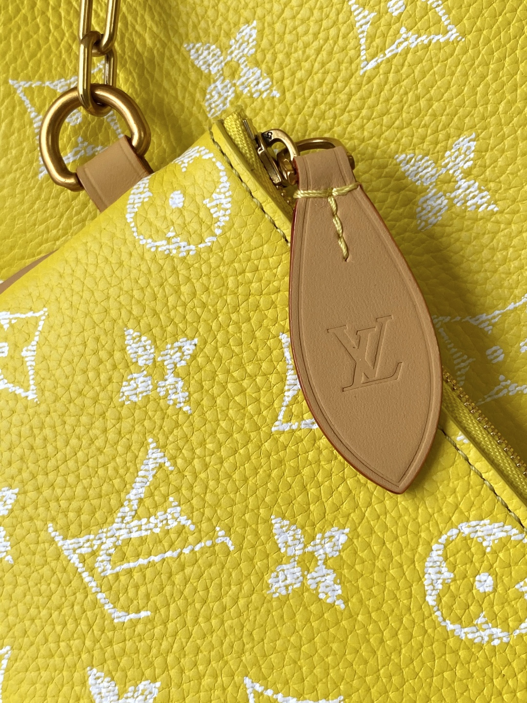 Louis Vuitton Basic Bag Cow Leather Black M-l-s