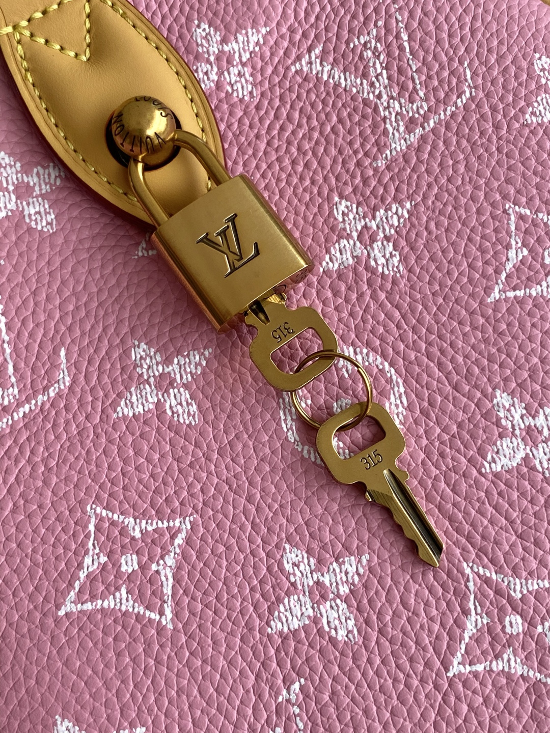 Louis Vuitton Basic Bag Cow Leather Black M-l-s