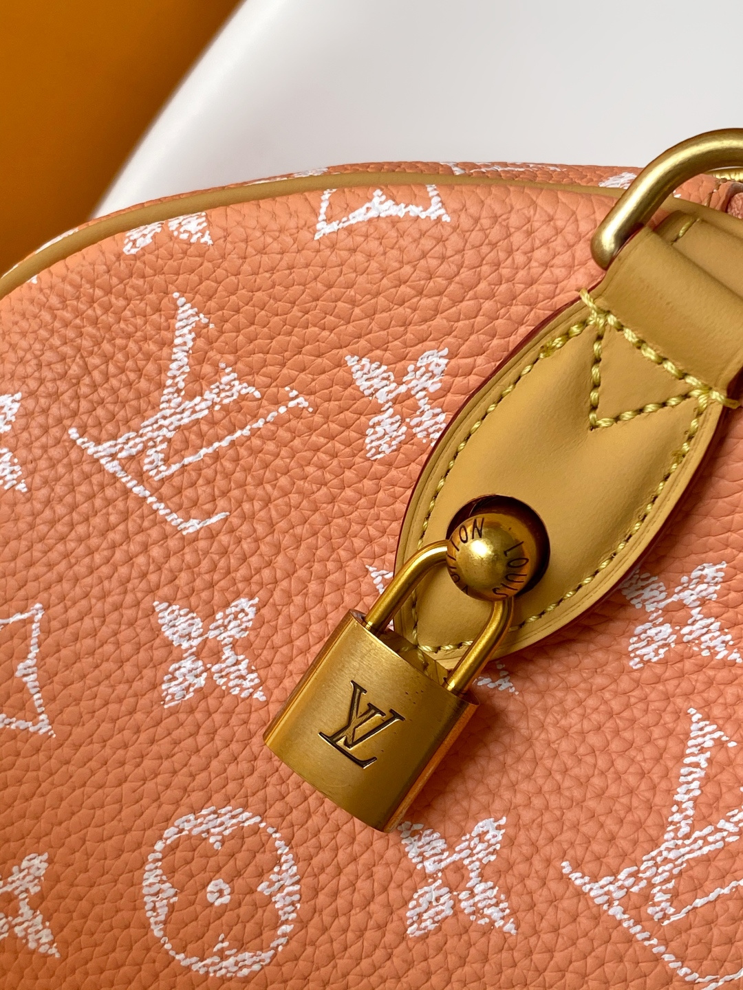 Louis Vuitton Basic Bag Cow Leather Black M-l-s