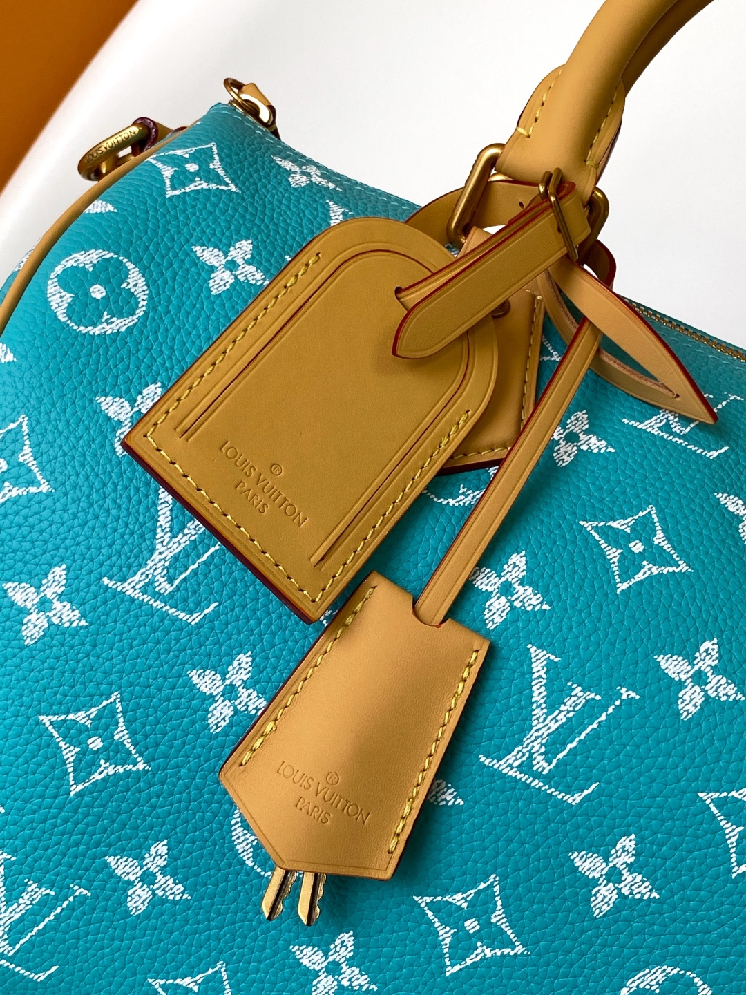 Louis Vuitton Basic Bag Cow Leather Black M-l-s