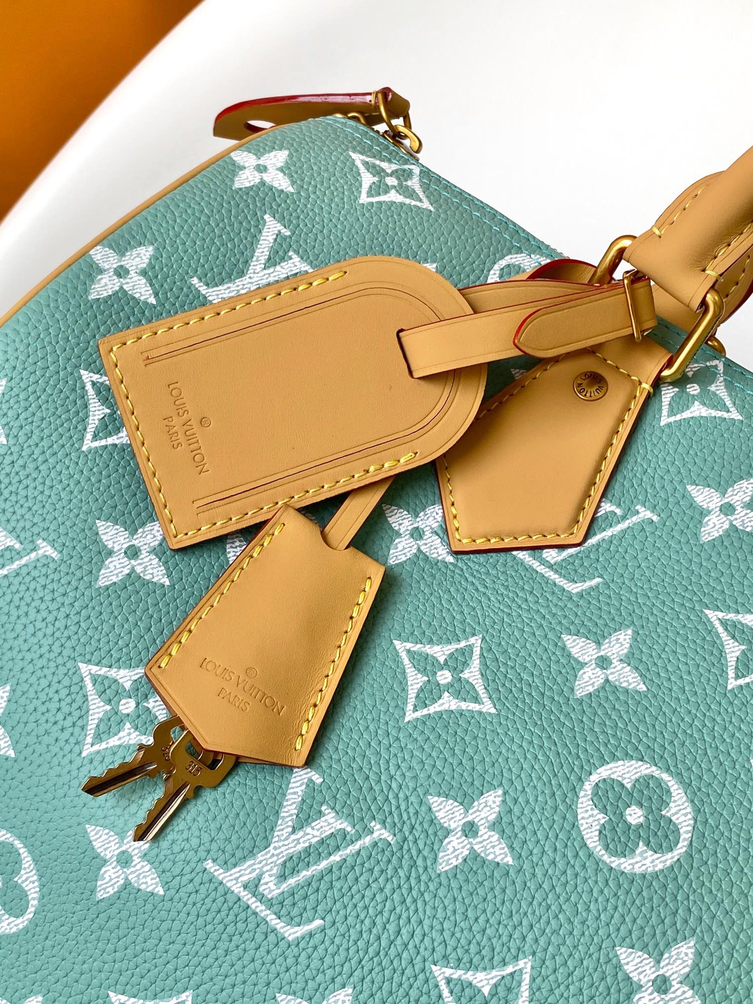 Louis Vuitton Basic Bag Cow Leather Red M-l-s