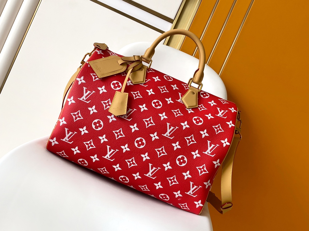 Louis Vuitton Basic Bag Cow Leather Red M-l-s