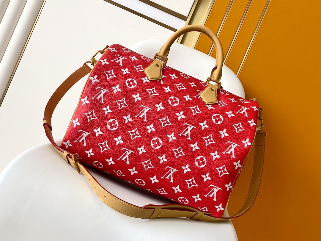 Louis Vuitton Basic Bag Cow Leather Red M-l-s