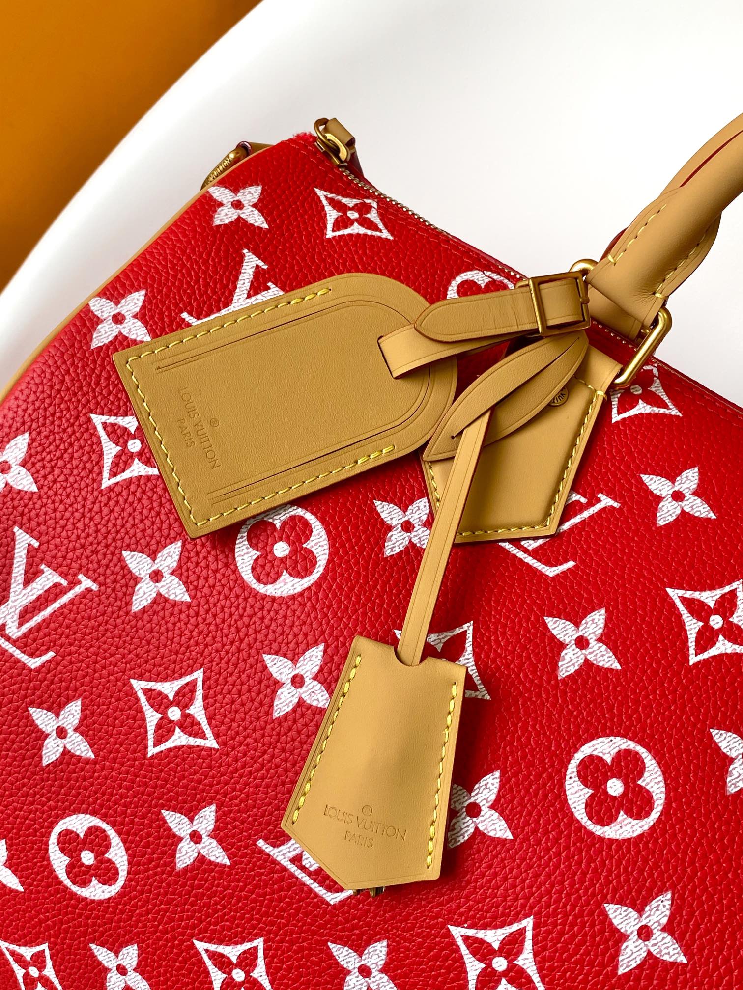 Louis Vuitton Basic Bag Cow Leather Red M-l-s