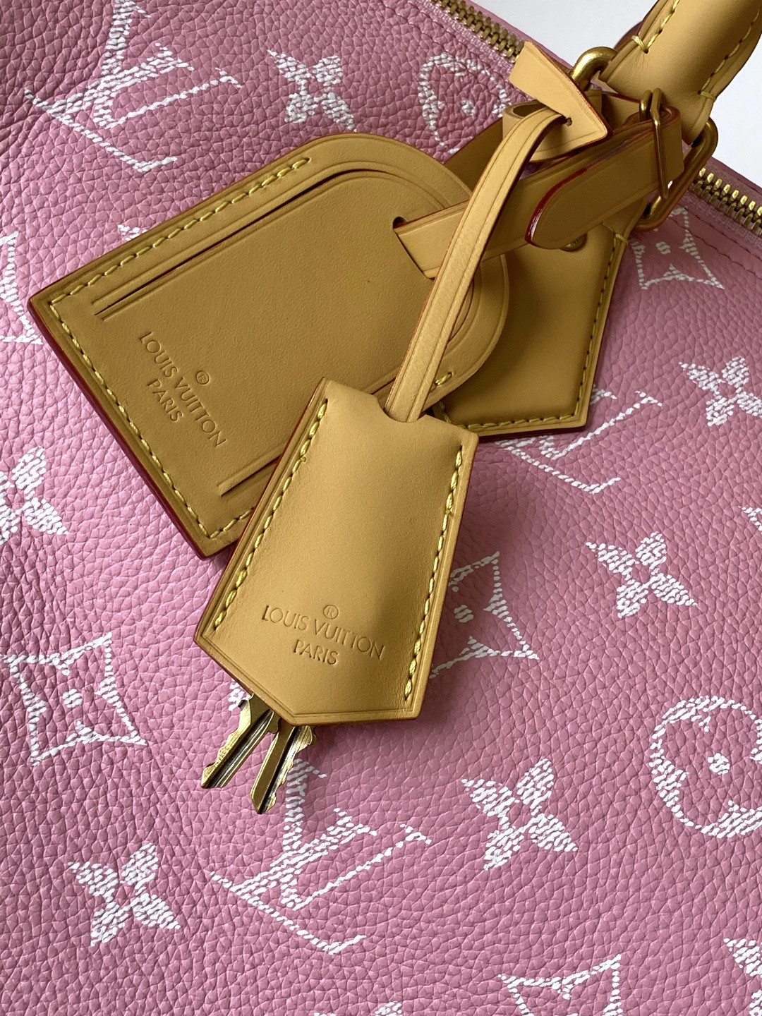 Louis Vuitton Basic Bag Cow Leather Red M-l-s