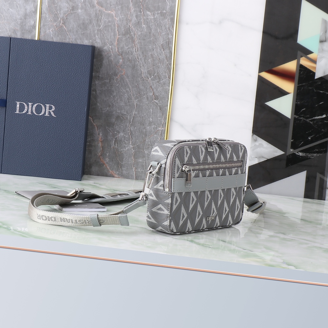 Dior Basic Bag Cow Leather Gray L-s