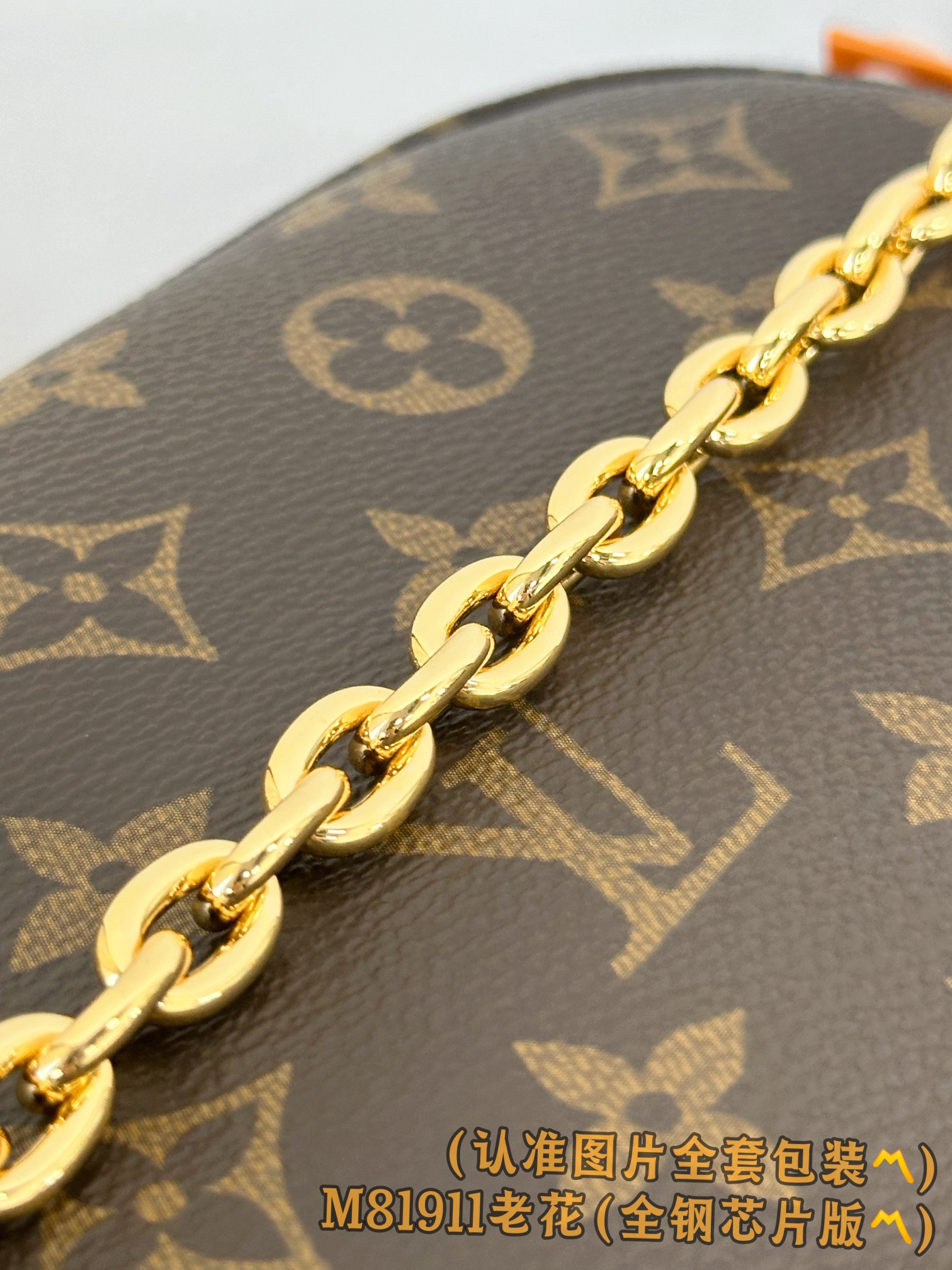 Louis Vuitton Basic Bag Canvas Gold M-l-s