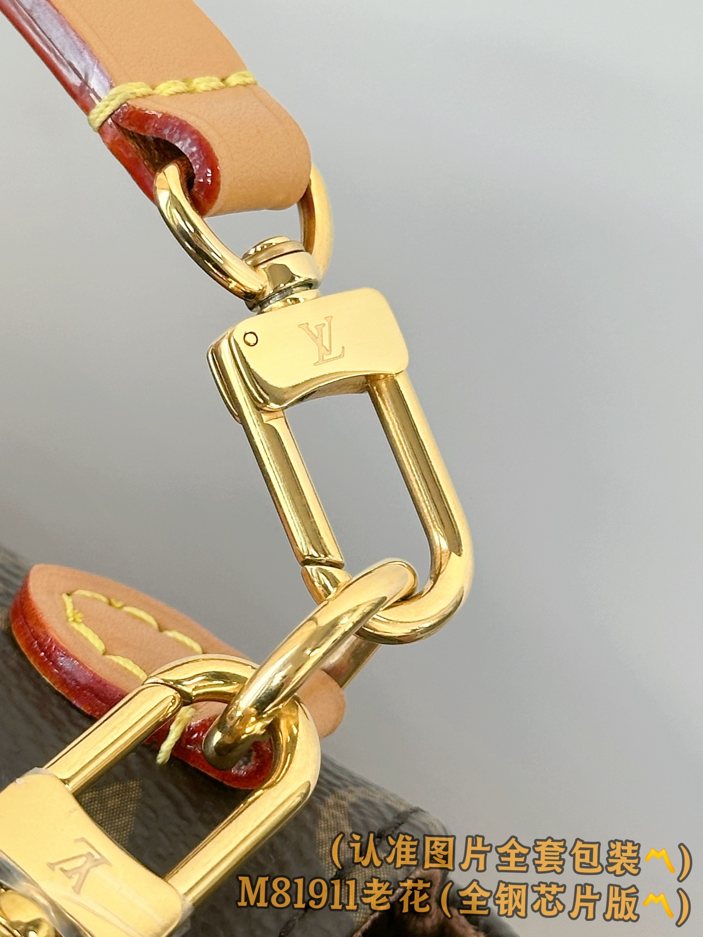 Louis Vuitton Basic Bag Canvas Gold M-l-s