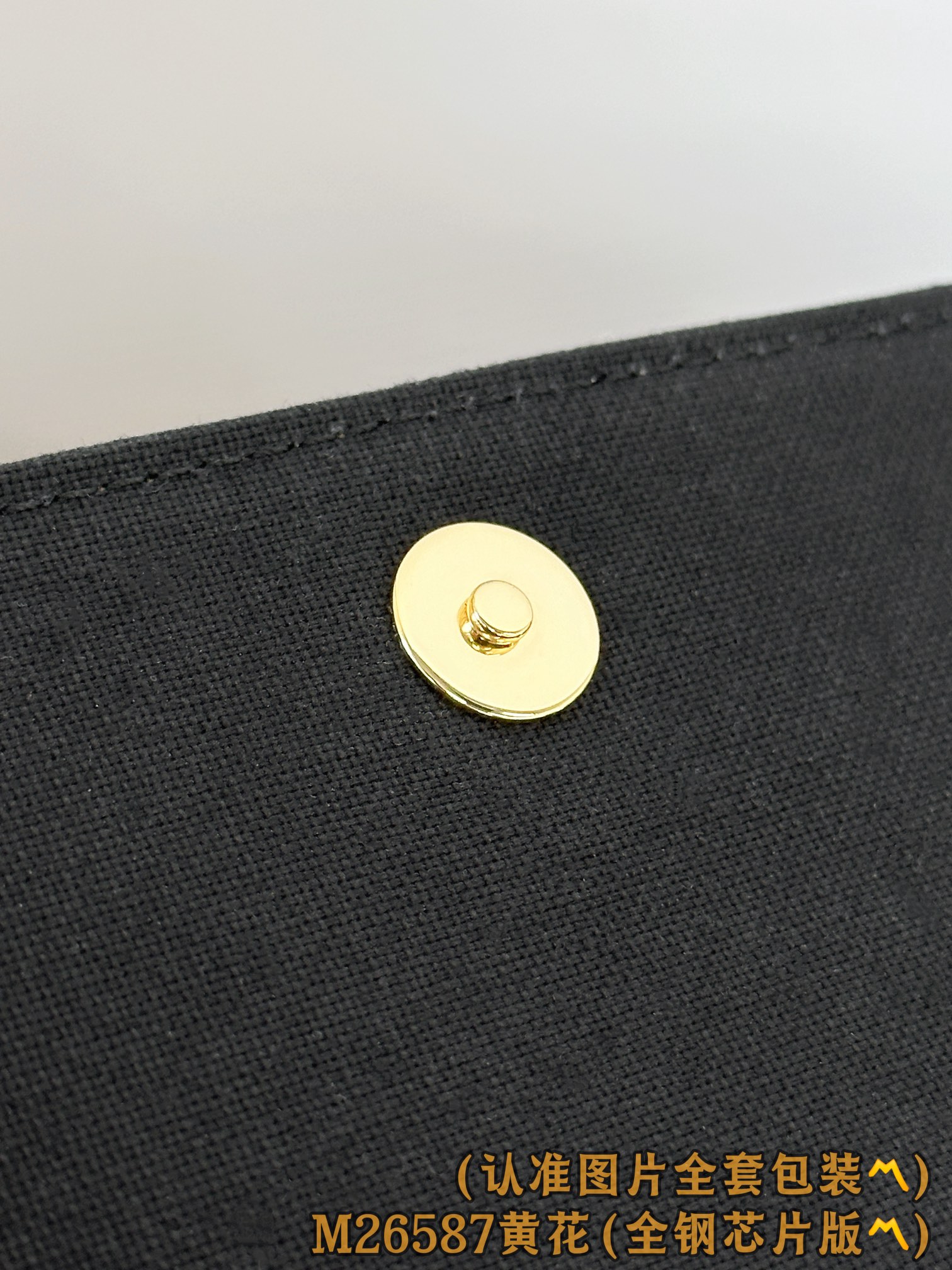 Louis Vuitton Basic Bag Canvas Gold M-l-s