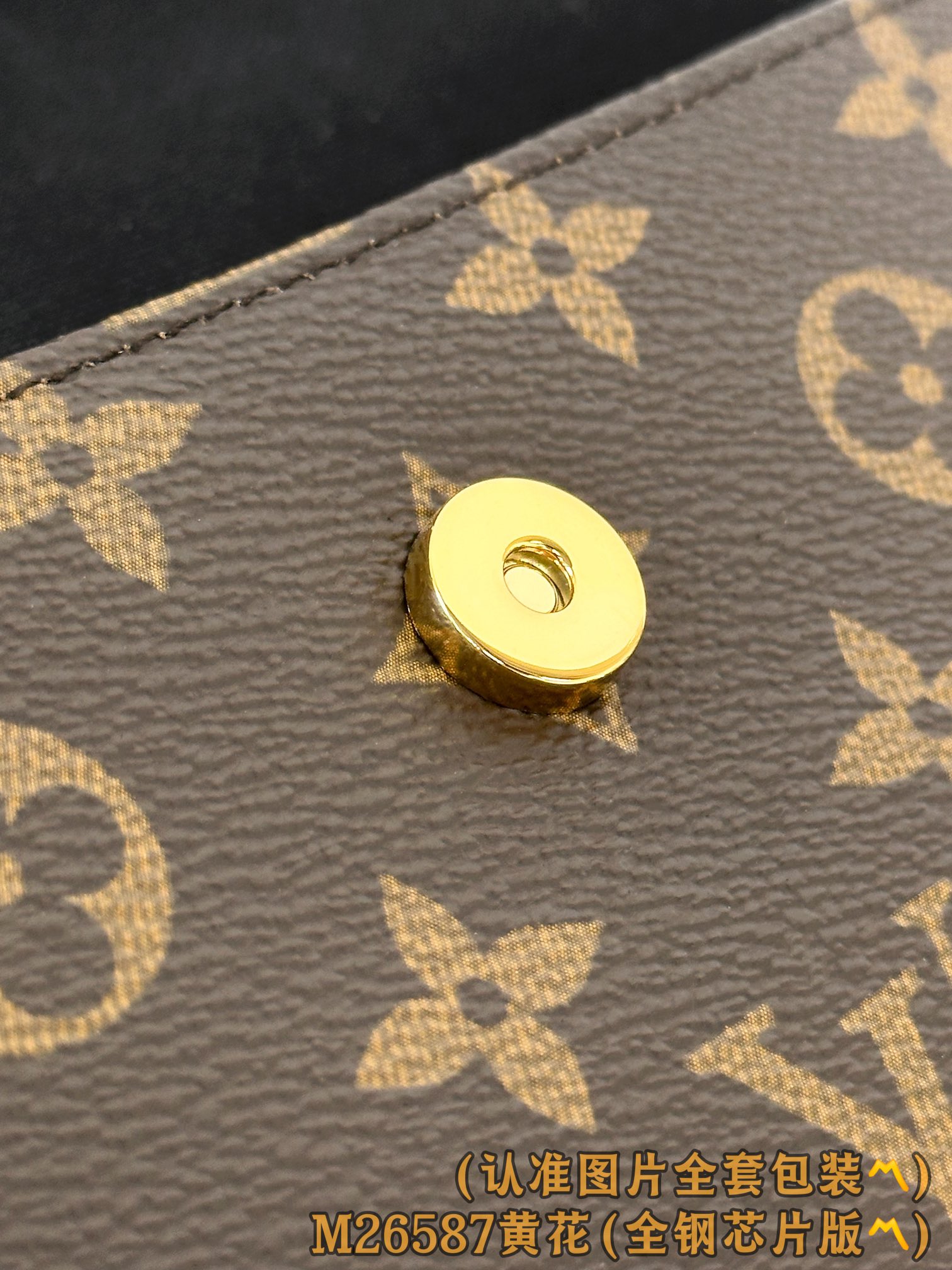 Louis Vuitton Basic Bag Canvas Gold M-l-s