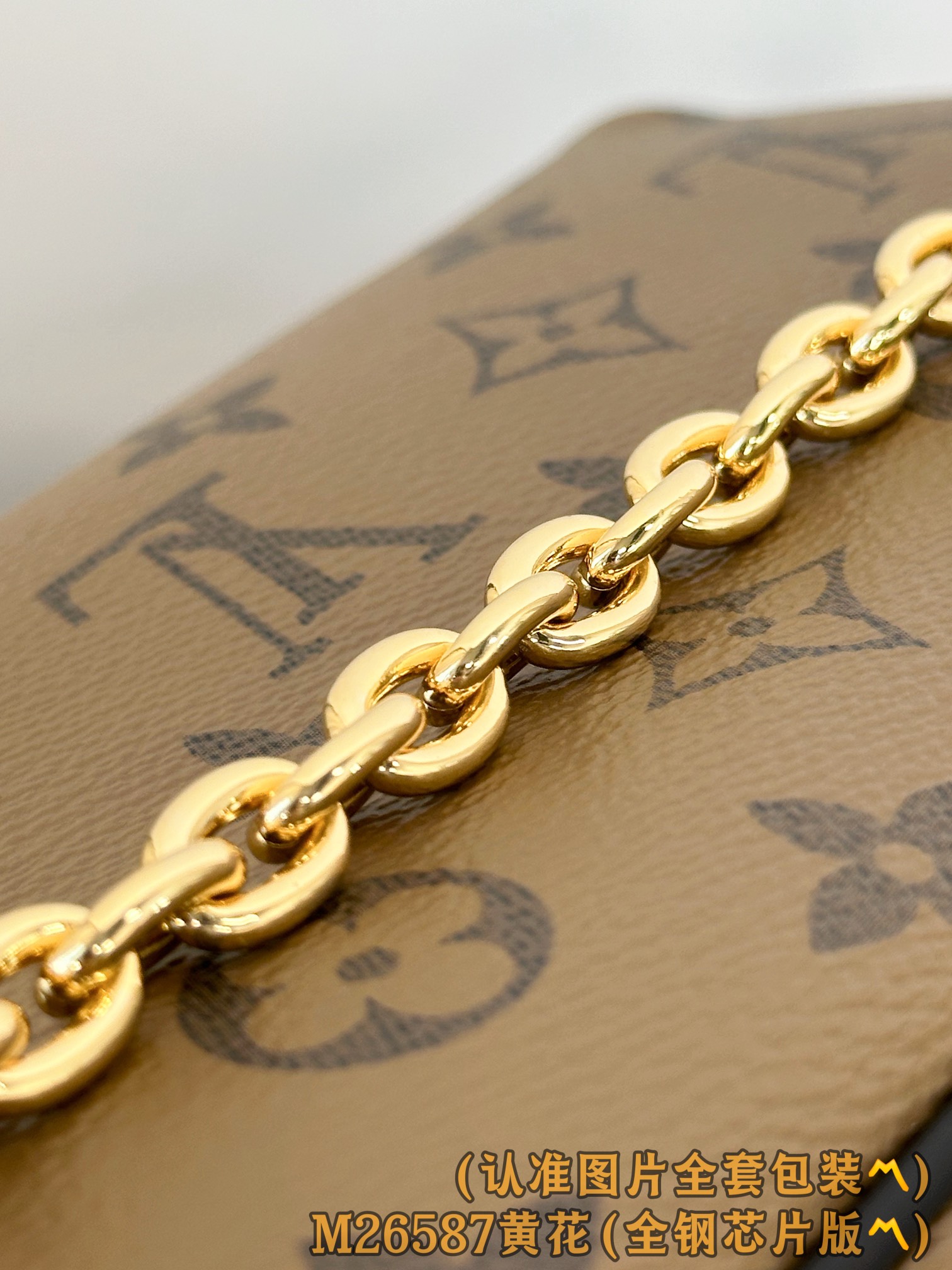 Louis Vuitton Basic Bag Canvas Gold M-l-s