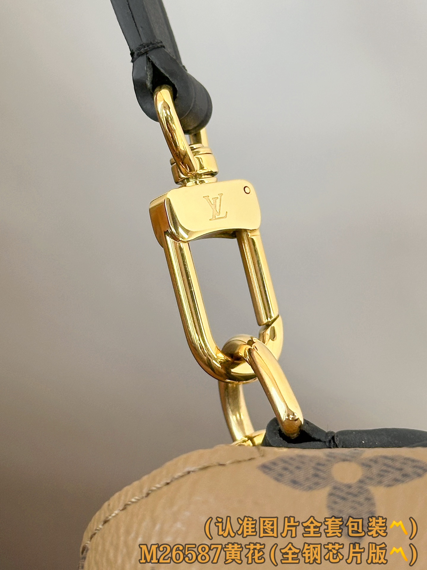 Louis Vuitton Basic Bag Canvas Gold M-l-s