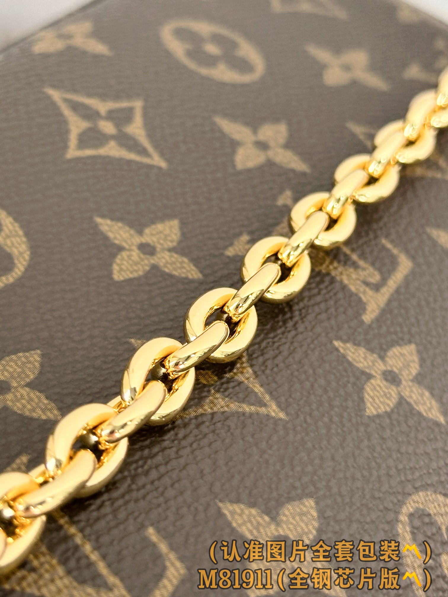 Louis Vuitton Basic Bag Canvas Gold M-l-s