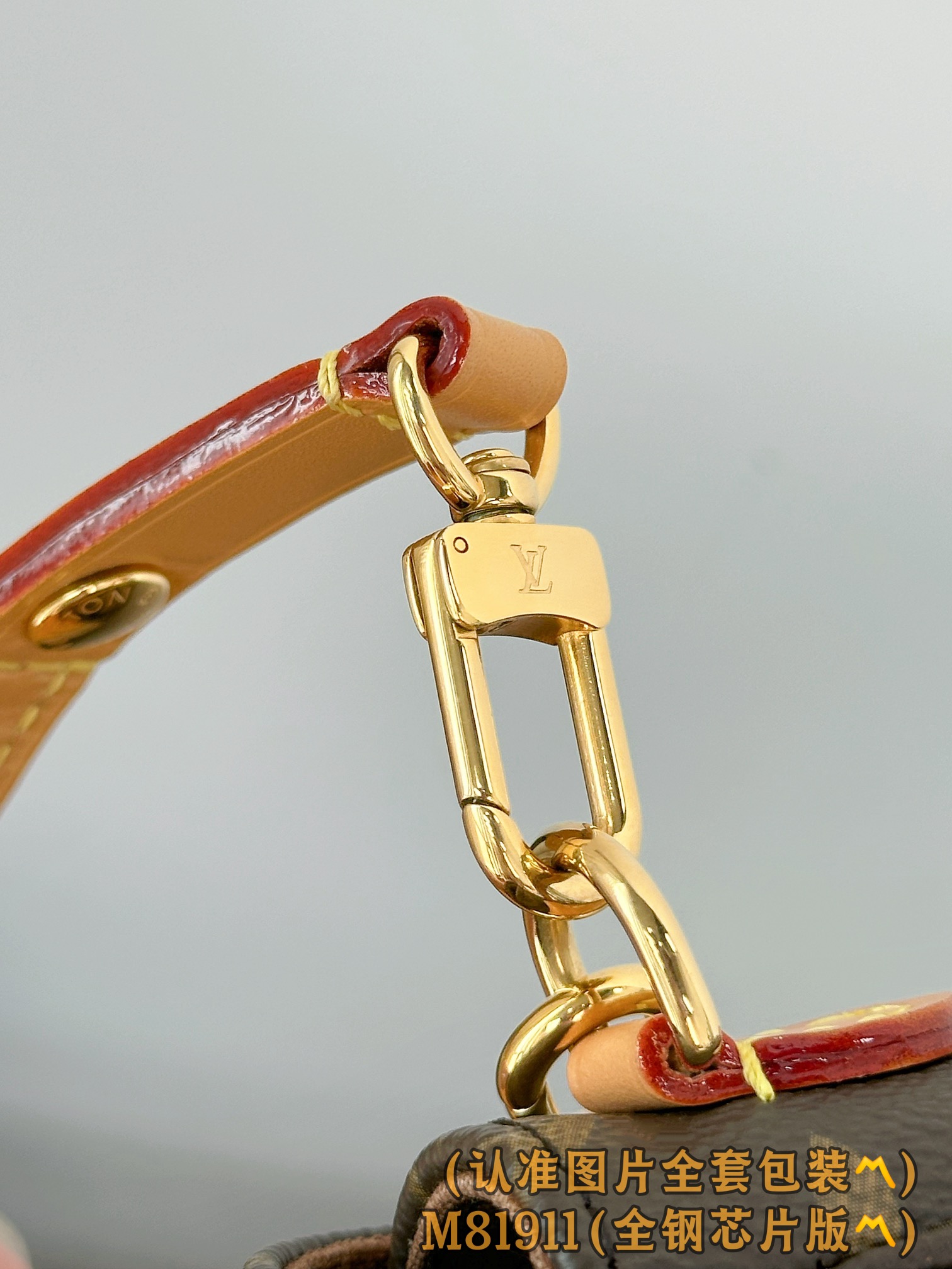 Louis Vuitton Basic Bag Canvas Gold M-l-s