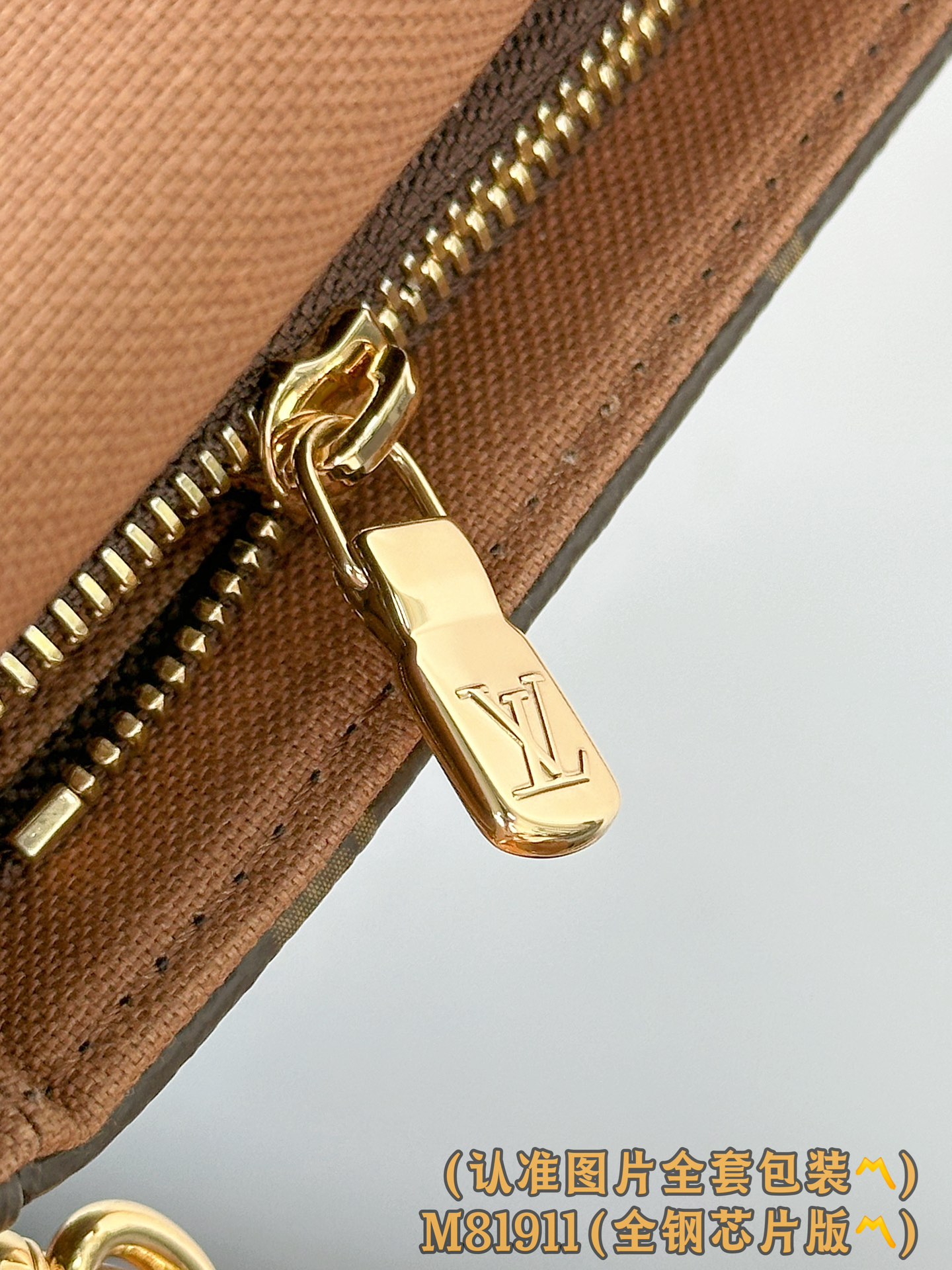 Louis Vuitton Basic Bag Canvas Gold M-l-s