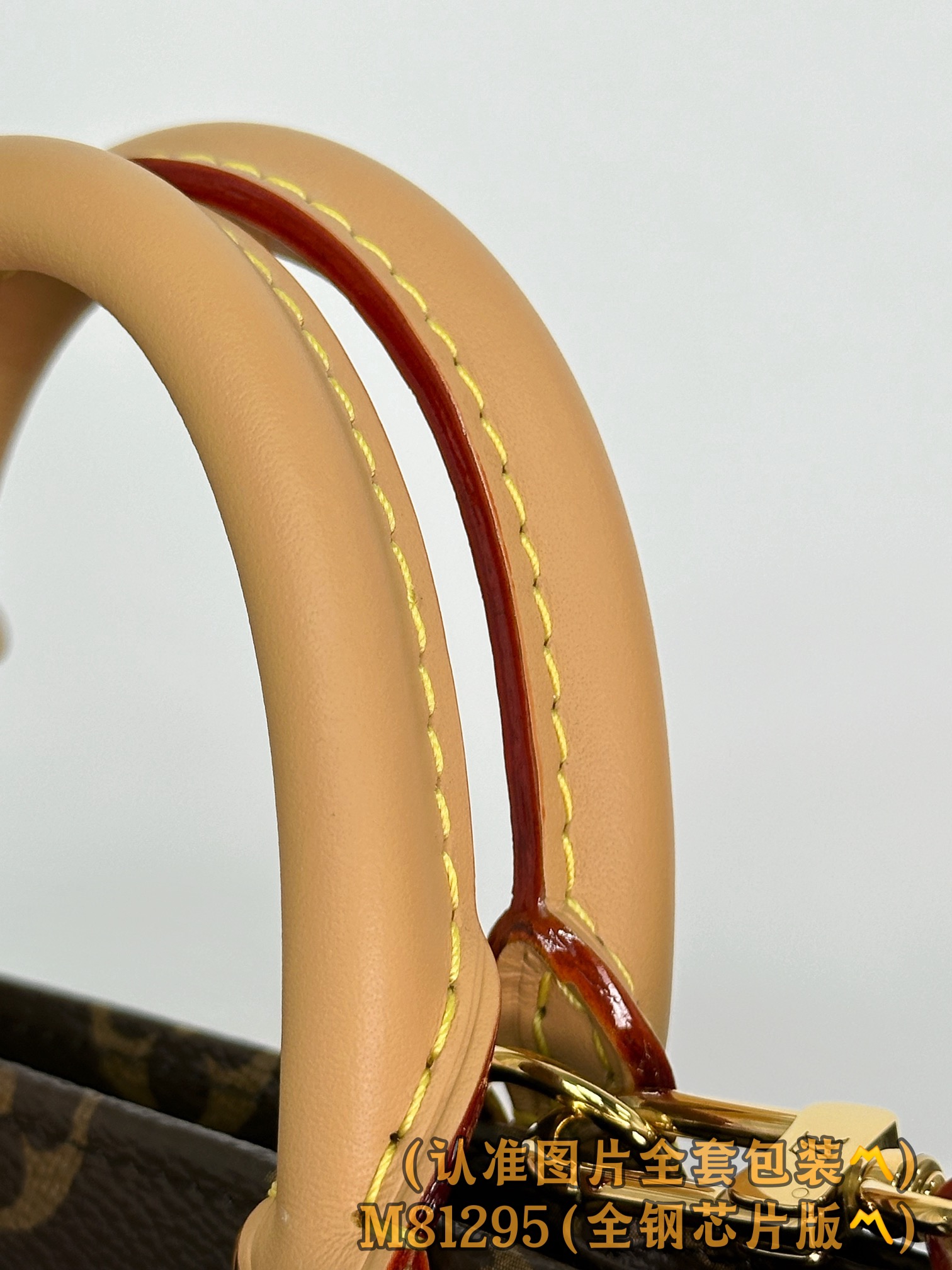 Louis Vuitton Basic Bag Canvas M-l-s