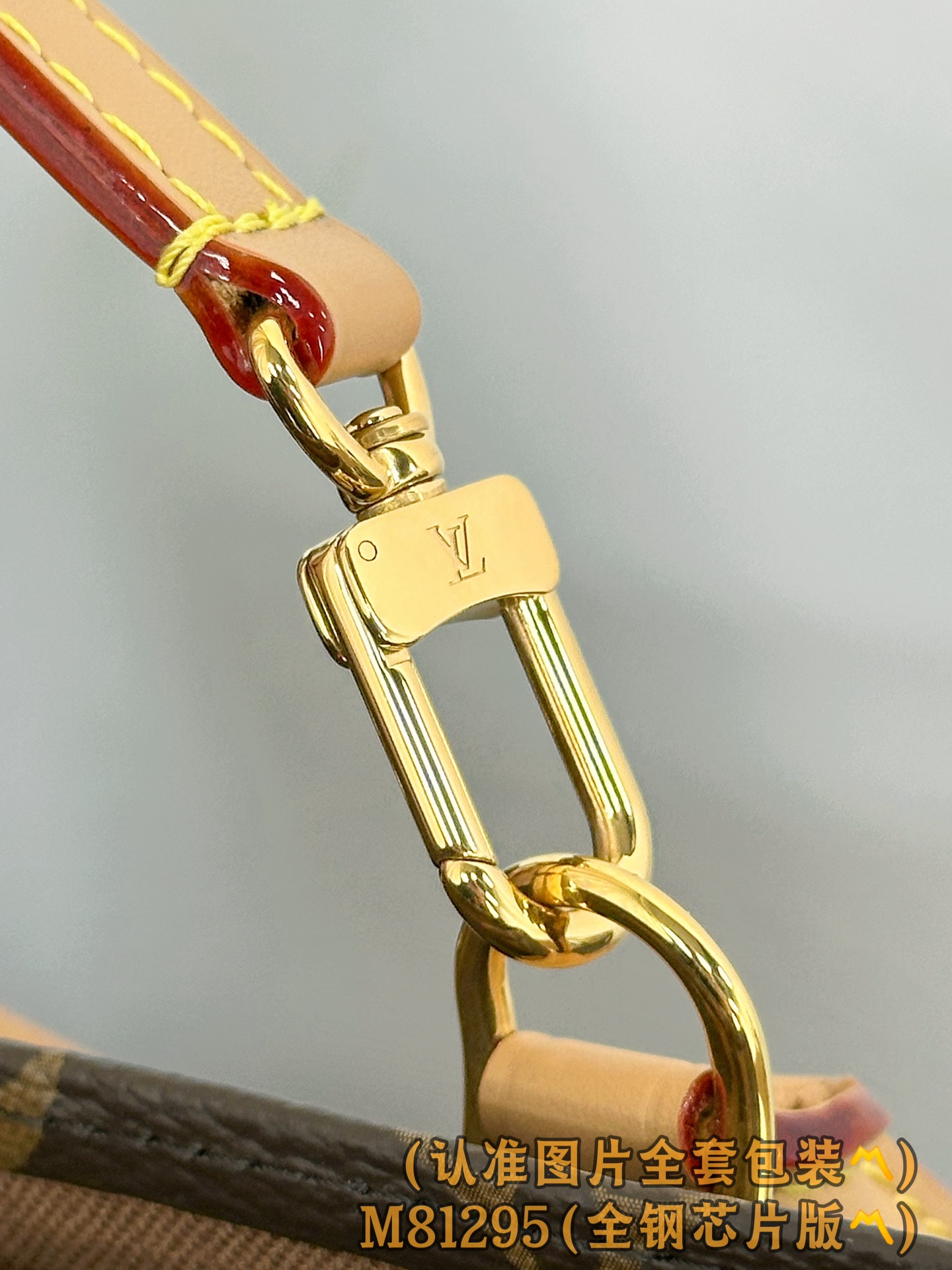 Louis Vuitton Basic Bag Canvas M-l-s