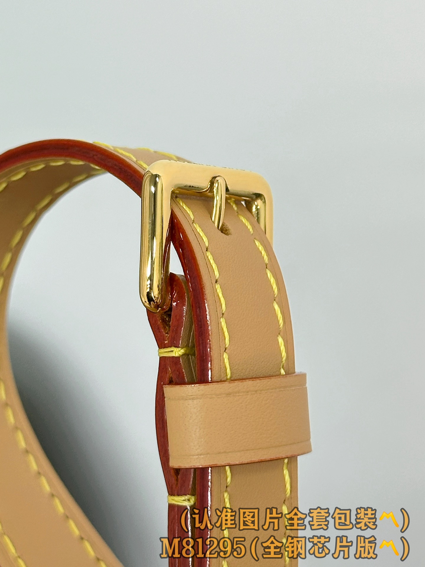 Louis Vuitton Basic Bag Canvas M-l-s