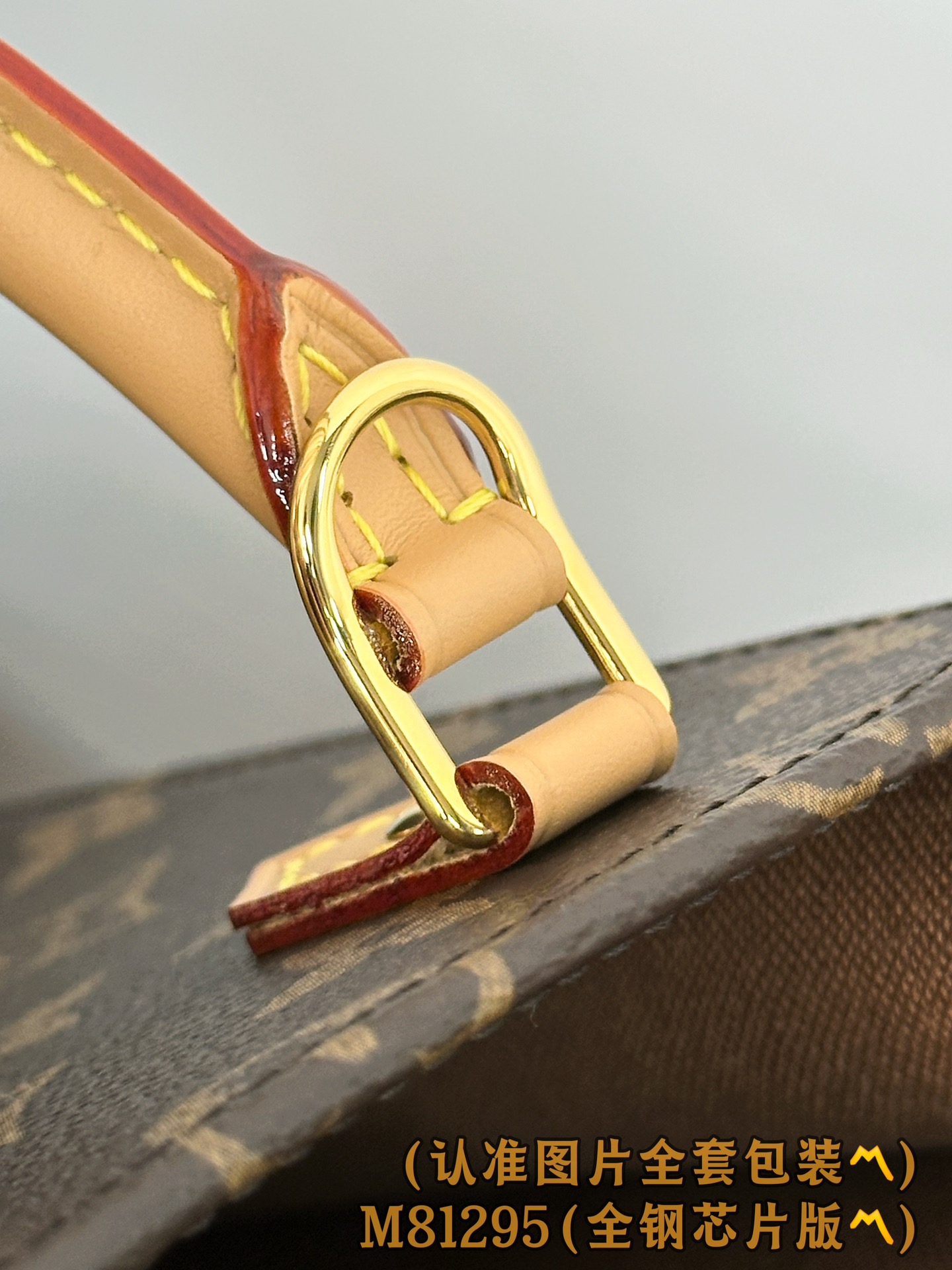 Louis Vuitton Basic Bag Canvas M-l-s