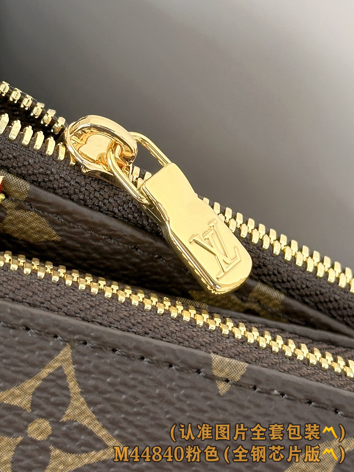 Louis Vuitton Basic Bag Canvas Gold M-l-s