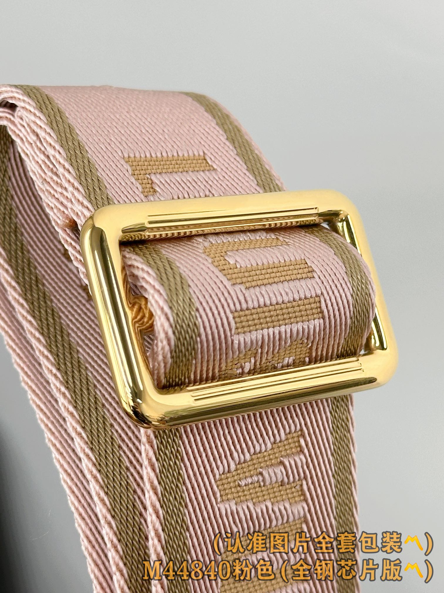 Louis Vuitton Basic Bag Canvas Gold M-l-s