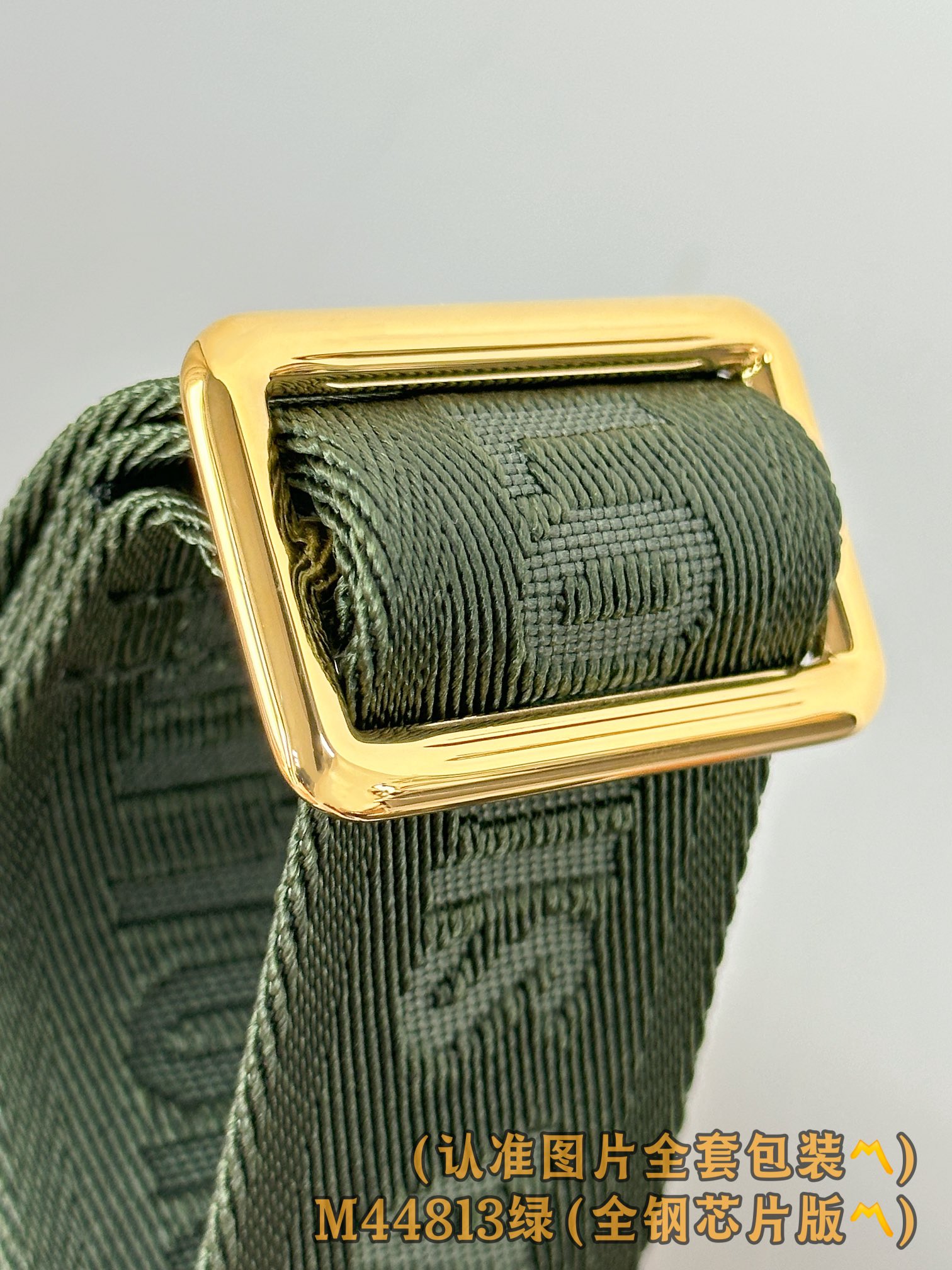 Louis Vuitton Basic Bag Canvas Gold M-l-s