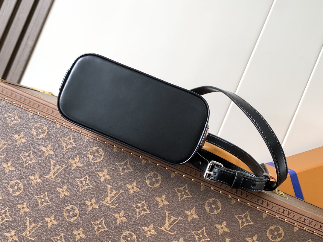 Louis Vuitton Basic Bag Cow Leather Black M-l-s
