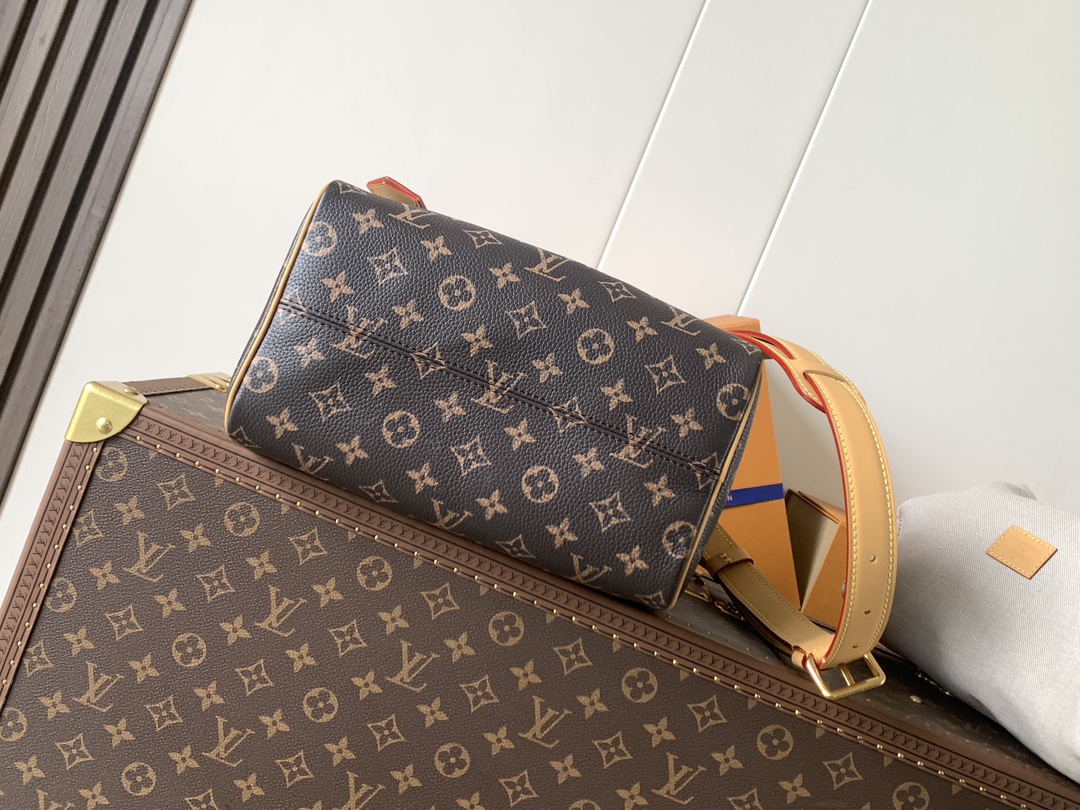 Louis Vuitton Basic Bag Cow Leather Red M-l-s