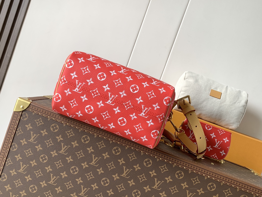 Louis Vuitton Basic Bag Cow Leather Red M-l-s