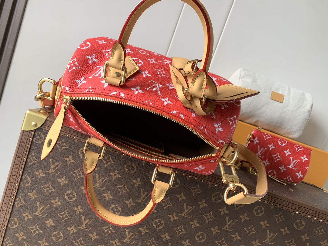 Louis Vuitton Basic Bag Cow Leather Red M-l-s