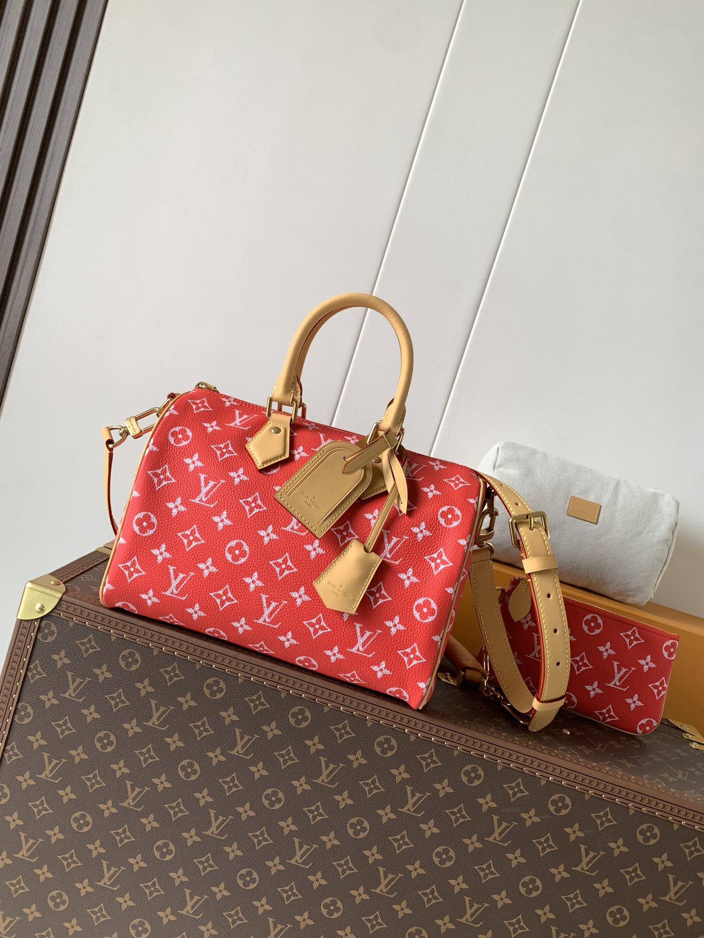 Louis Vuitton Basic Bag Cow Leather Black M-l-s