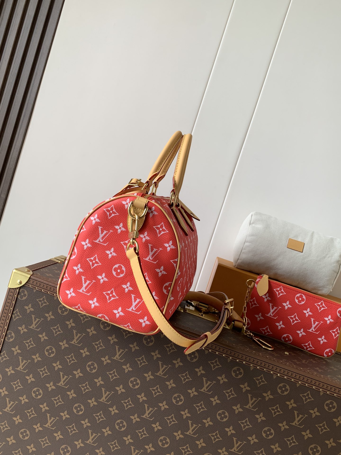 Louis Vuitton Basic Bag Cow Leather Black M-l-s