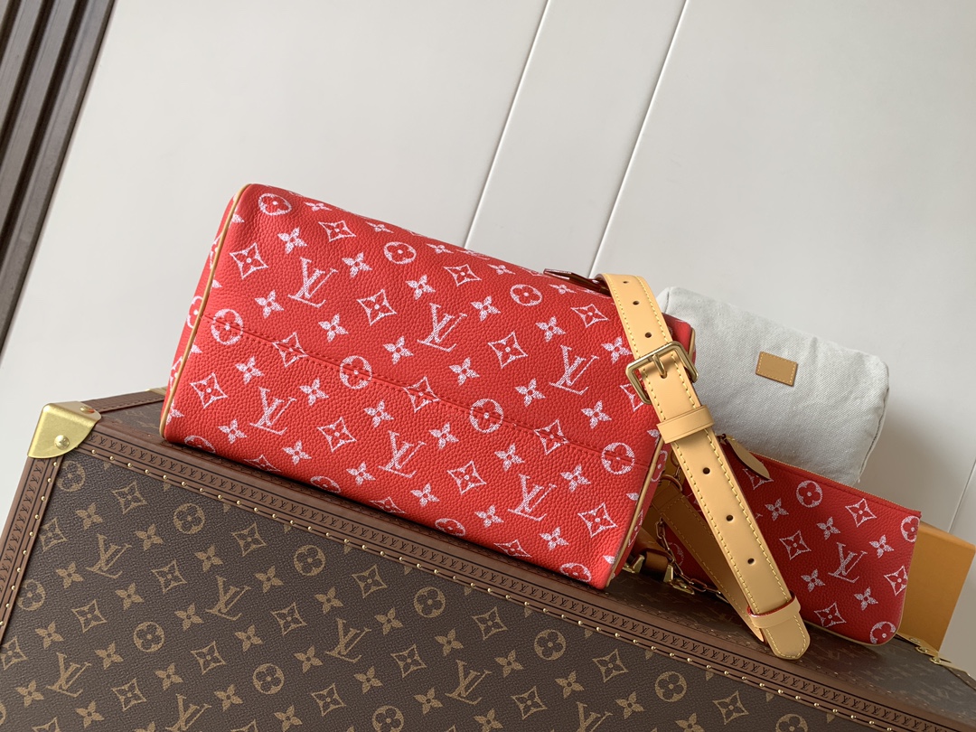 Louis Vuitton Basic Bag Cow Leather Black M-l-s