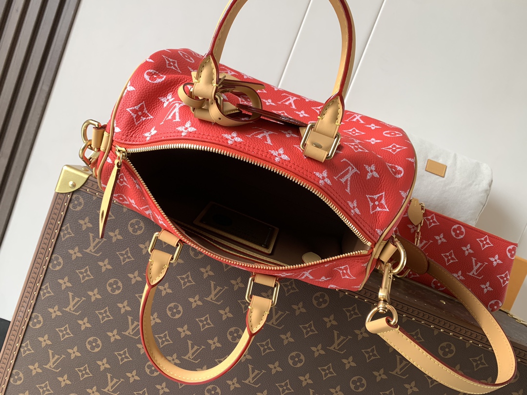 Louis Vuitton Basic Bag Cow Leather Black M-l-s