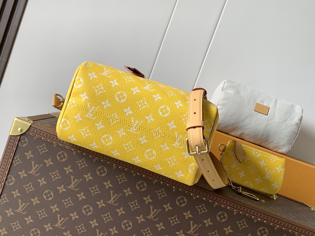 Louis Vuitton Basic Bag Cow Leather Red M-l-s